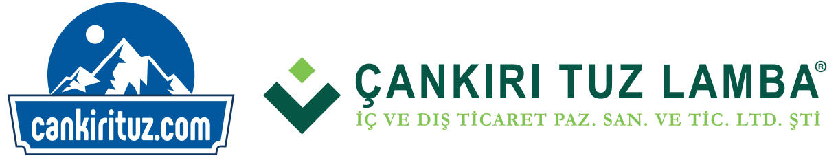 Çankırı Tuz Lamba Logo