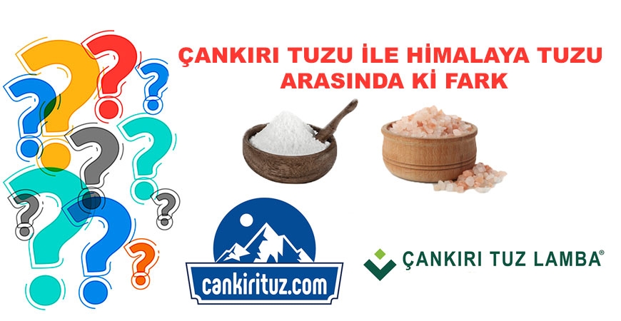 Çankırı Tuzu ile Himalaya Tuzu Arasında ki Fark