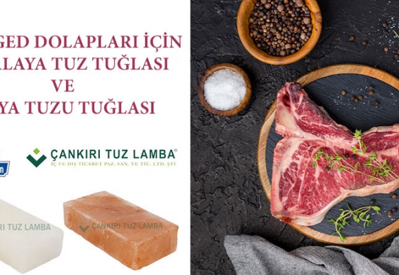 Dry Aged Dolapları için Himalaya Tuz Tuğlası ve Kaya Tuzu Tuğlası